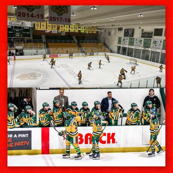 University of Alberta Vintage Golden Bears never worn Varsity Line Hockey Jersey - Picture 11 of 16